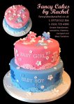 Boy and Girl baby shower cake - 1.jpg