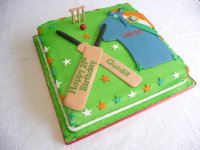 indian cricket cake.JPG