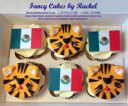 Mexican Flag and Tiger cupcakes - 1.jpg