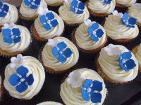 blue cupcakes (2) 1.jpg