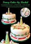 Fiona Christmas cake - 1.jpg