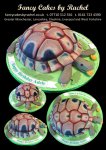 Tortoise Cake - 1.jpg