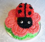 ladybird cake 1.jpg