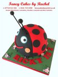 Ladybird birthday cake - 1.jpg