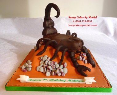 Scorpio Horoscope Astrology Zodiac Edible Cake Toppers – Cakecery